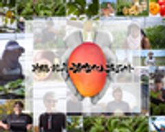 合同会社フロム宮古島オンラインのロゴ