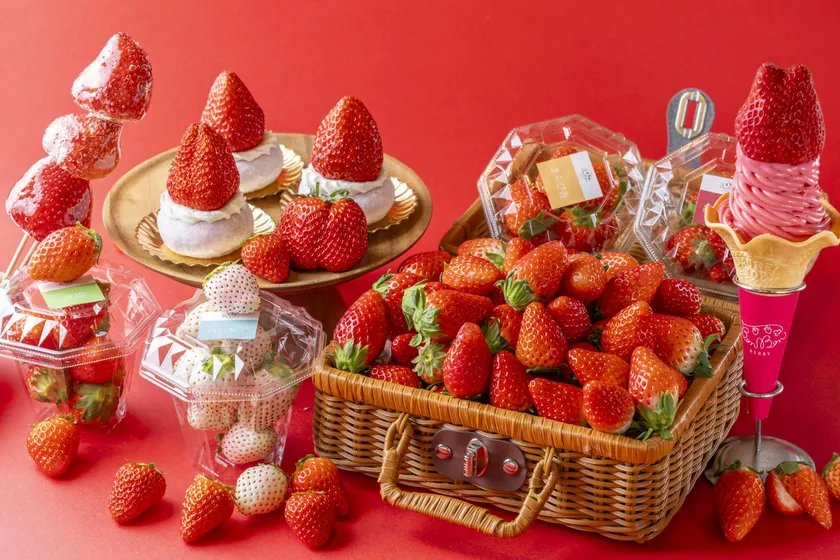 いちごの収穫祭2025 ※写真はイメージです