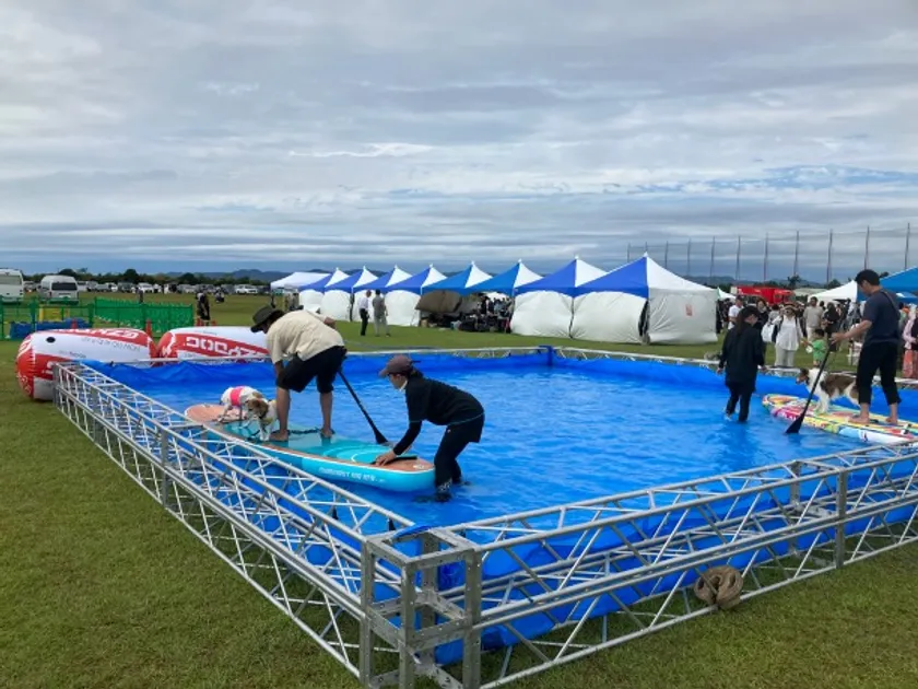 ドッグサップ 体験会