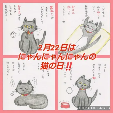 猫イラスト(1)