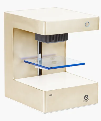 本体：ゴールド