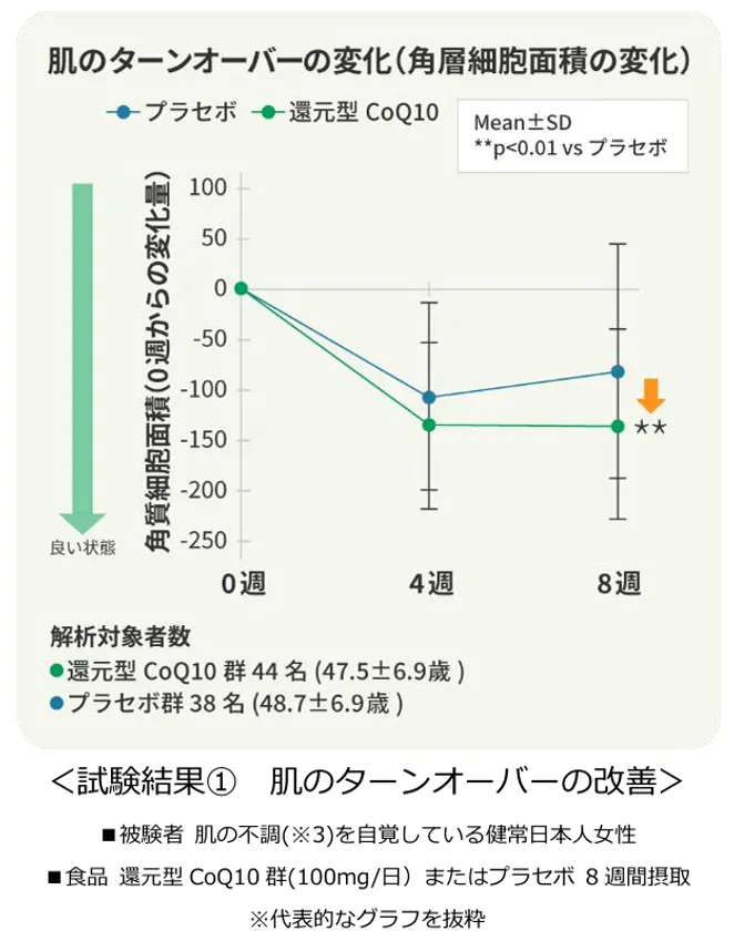 ＜試験結果(1)　肌のターンオーバーの改善＞