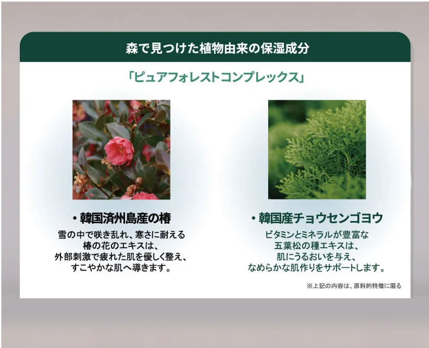 ピュアフォレストコンプレックス