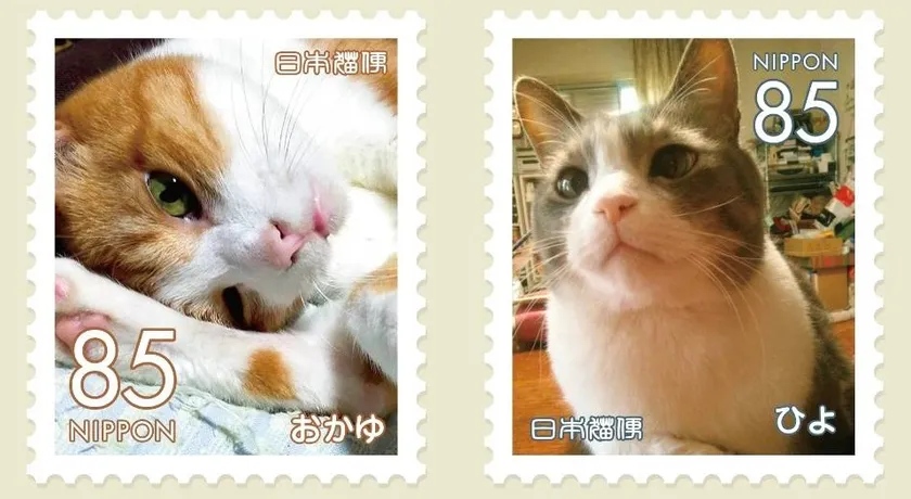 リターン特典 飼い猫を切手にして本に掲載