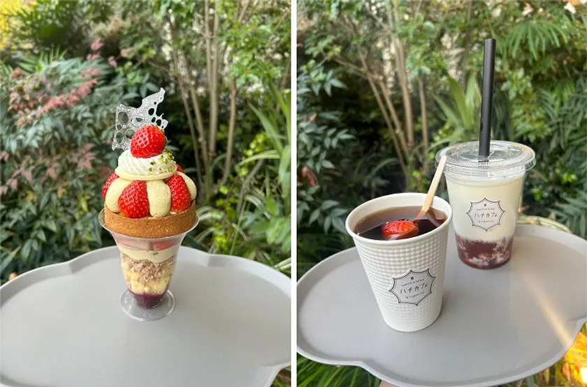 ハチカフェ 阿佐ヶ谷店メニュー