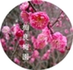 相良梅園のロゴ