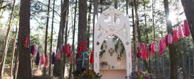 森の中で行う結婚式 イメージ