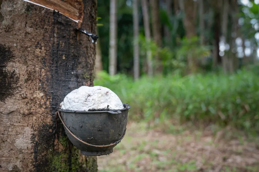 天然ゴム※画像はイメージです 1