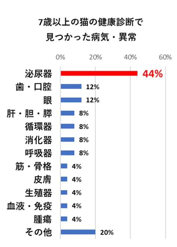7歳以上の猫の健康診断で見つかった病気