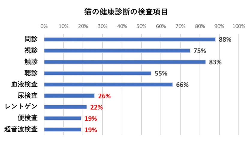 猫の健康診断の検査項目