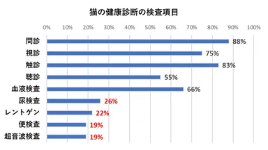 猫の健康診断の検査項目