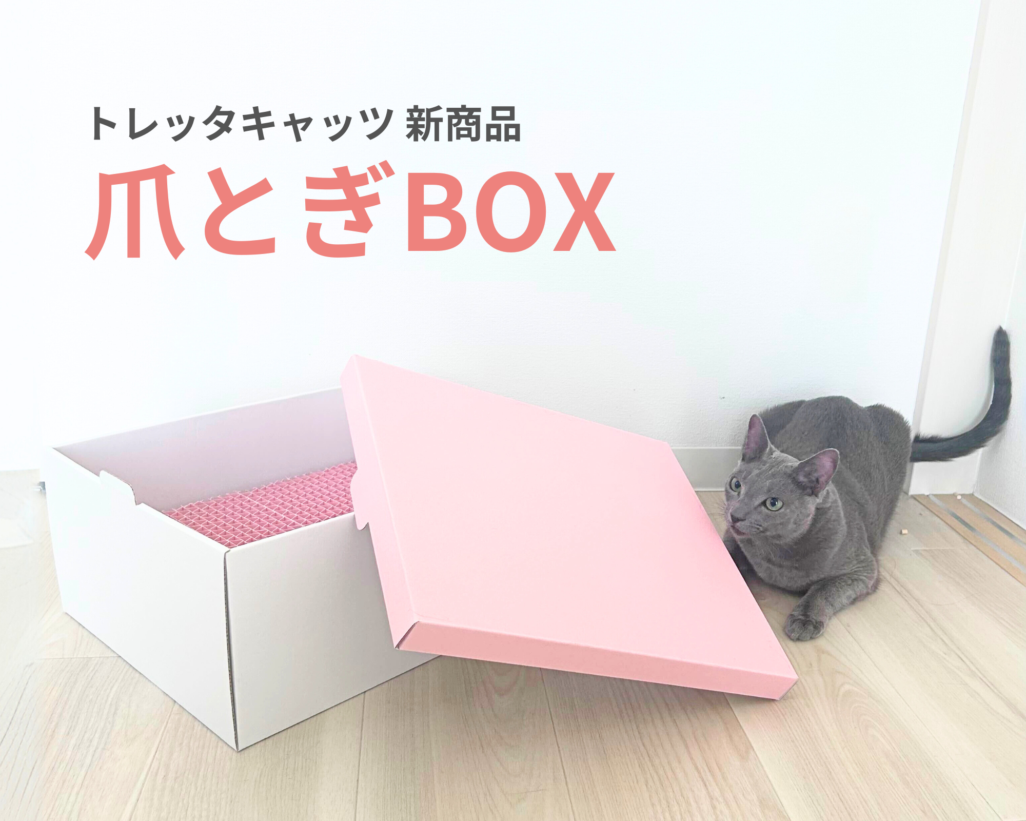 猫に嬉しい2WAY設計の「爪とぎBOX」 ピンク色の可愛いデザインの