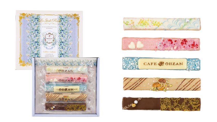 鮮やかなチョコレート。 5本セットです