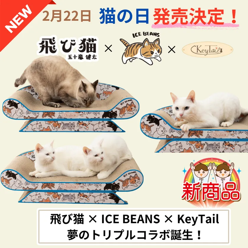 人気の飛び猫イラストが爪とぎに！猫をダメにする 「にゃん