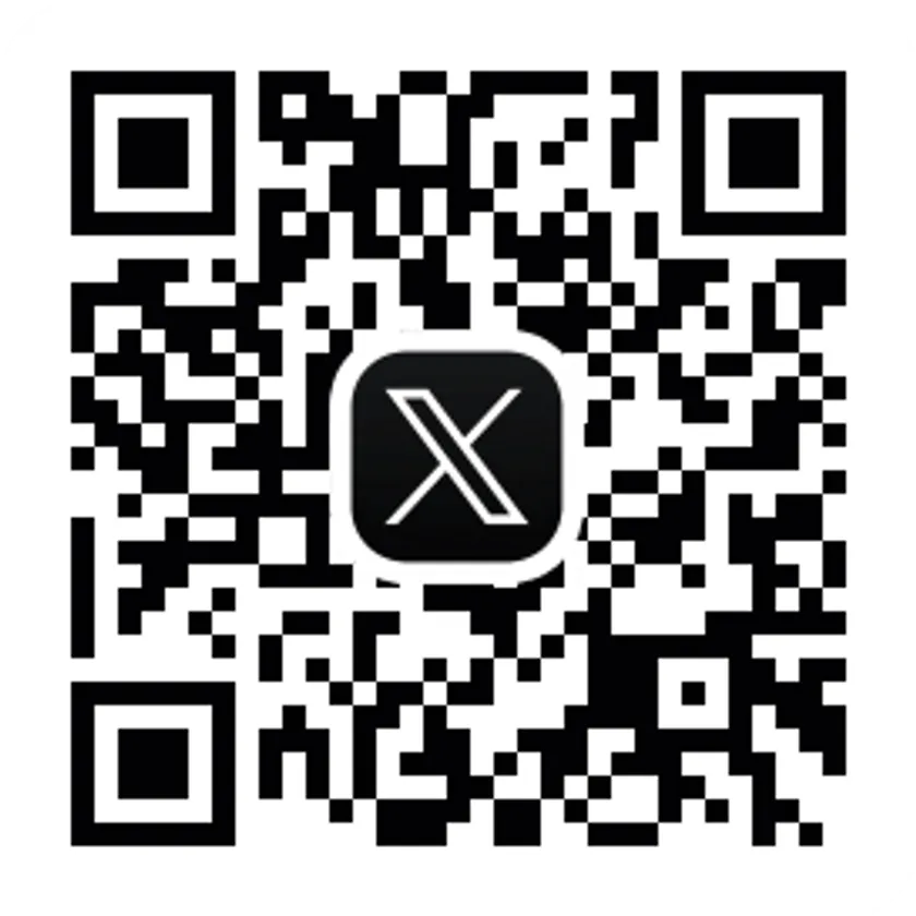 公式X
