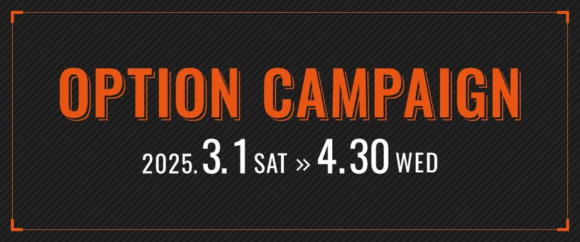 春のオプションキャンペーン