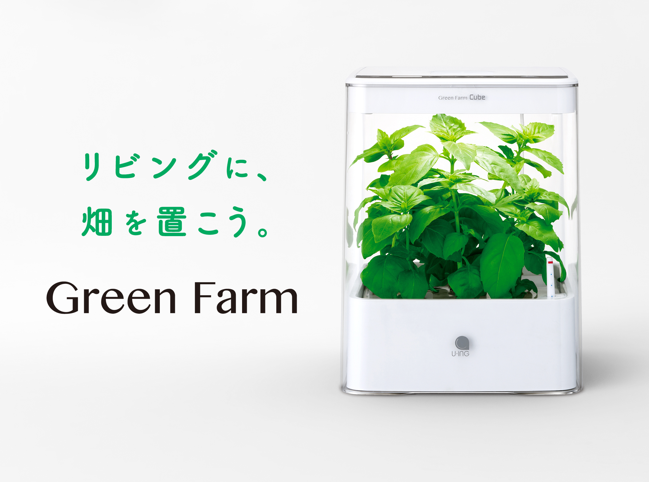 その他水耕栽培  GREEN FARM