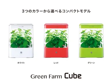 GreenFarm_Cube