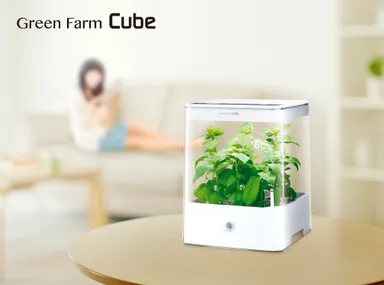 Cube インテリア