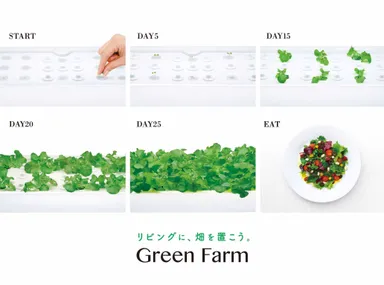 種まきから収穫