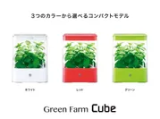 GreenFarm_Cube