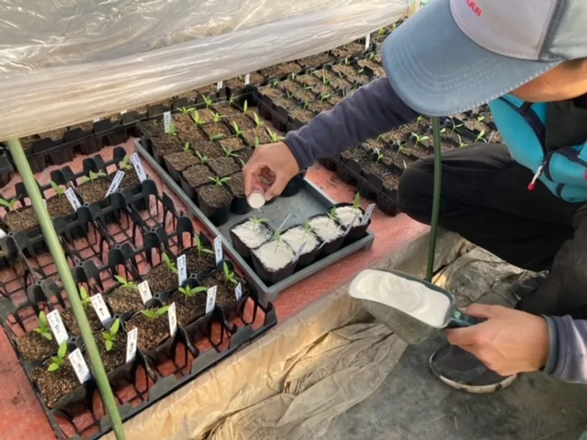 オリジンジオ(R)使用の様子