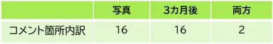 コメント箇所内訳