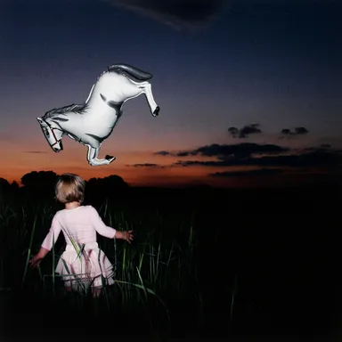 ミハエラ・スプルナー(チェコ、1981-) 《Carnival》2010 (C) Michaela Spurna