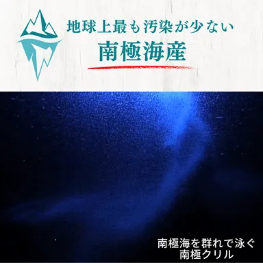 南極海の南極クリルの群れ