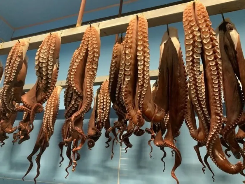 浜茹でされたタコ