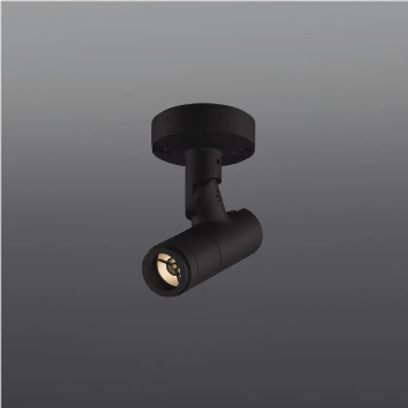 「eX-Pro」フランジタイプ S(サテンブラック色)