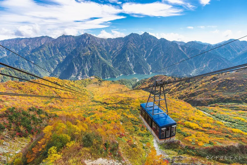 人気の紅葉スポット・大観峰~黒部平