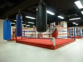 ボクシングエリア