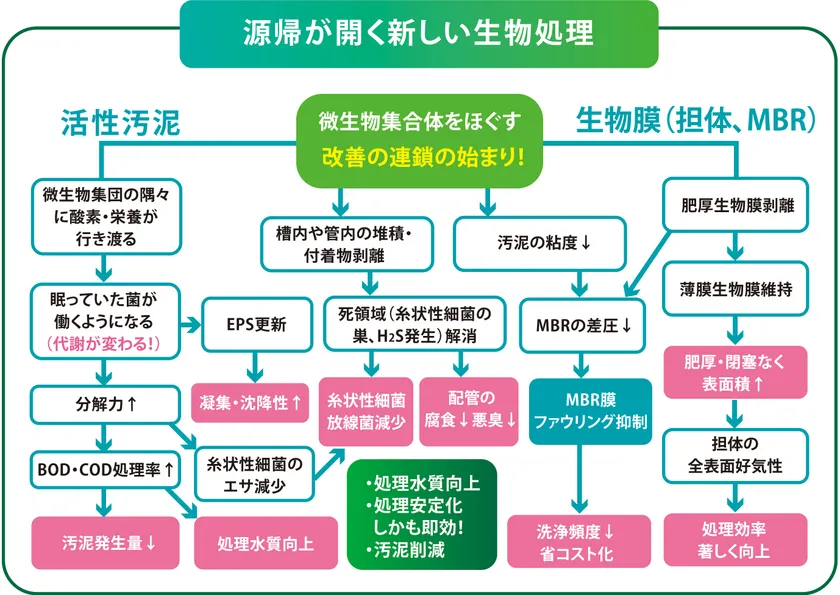 排水処理 改善への道筋*MBR膜汚れ対策にも有効