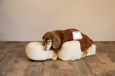 床ずれ防止イメージ