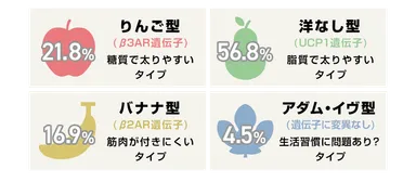 遺伝子検査によるタイプ分類