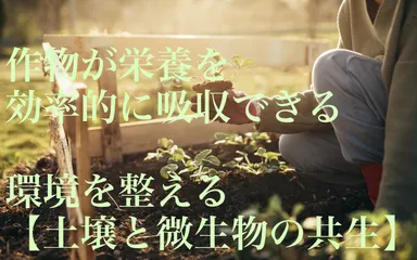 作物が栄養を効率的に吸収できる
