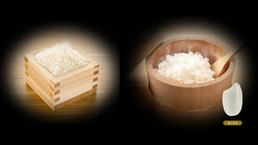 左:真豪鬼米「つきあかり」、右:炊き上がりイメージ