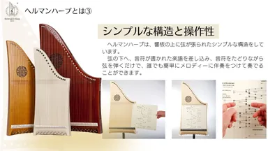 ヘルマンハープ演奏の仕組み