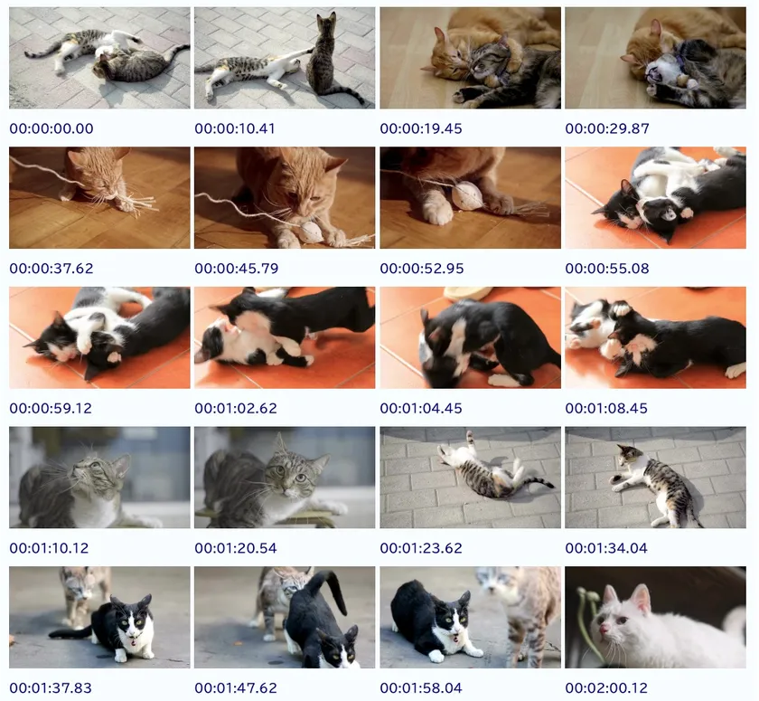 カット分析後のサムネイル画像