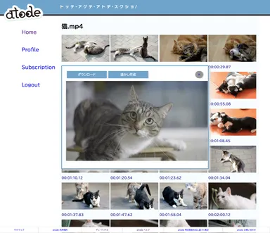 スクリーンショットダウンロード画面