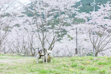 2024年の開催会場イメージ(2)