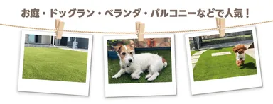 人工芝の使用例