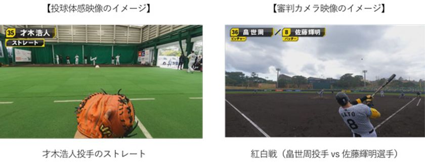 2025年版「投球体感映像」「審判カメラ映像」を
3月12日（水）から公開
～昨シーズン二桁勝利を記録した
才木浩人投手の投球を捕手目線で、
春季キャンプの紅白戦を審判目線で体感！！～