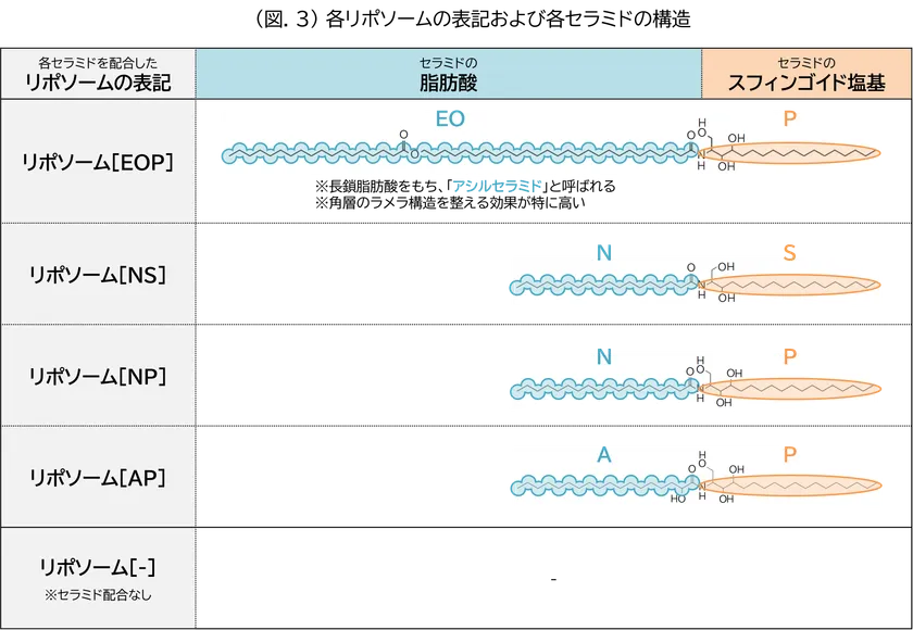 (図.3)各リポソームの表記および各セラミドの構造