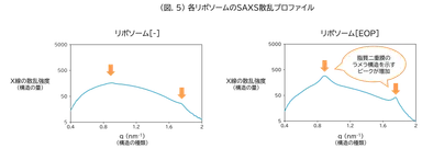 (図.5)各リポソームのSAXS散乱プロファイル