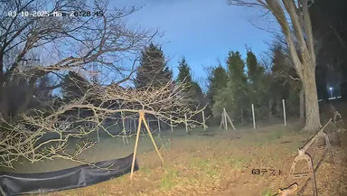 明るさ比較(新型AI威嚇カメラで撮影)