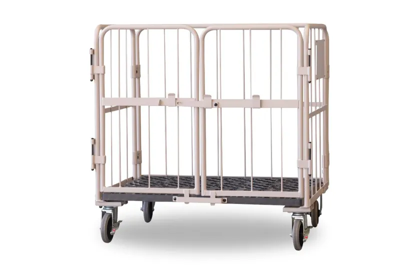 温かみのある新色ベージュカラー