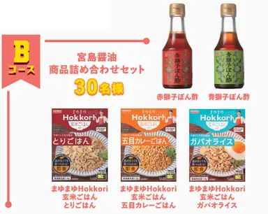 Bコース　宮島醤油商品詰め合わせセット　イメージ図