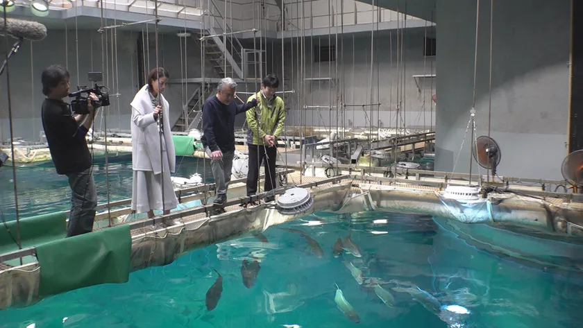 「ジンベエザメ」のエサやりに挑戦